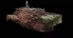 3D SCANNED WOOD PIECE LOG 3D model