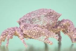 Abstract Crab 3D model