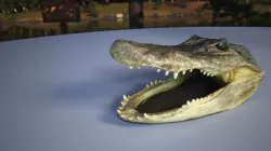 Alligator 3D print model