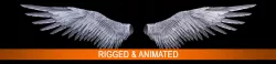 Angle Wings  3D model