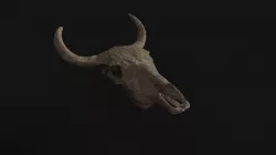 Animal Skull Low-poly  3D model