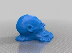 Beard head