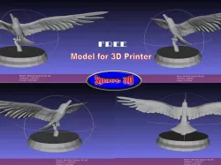 Bird With Pose by Space 3D