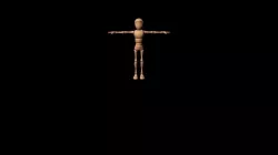 bony obj fbx mb ma texture material lowpoly polygonmash Low-poly  3D model