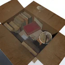  Cardboard box Low-poly  3D model