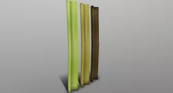 Celery Low-poly  3D model