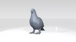 Dove Low Poligonal 3D model