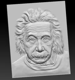 Einstein 3D model