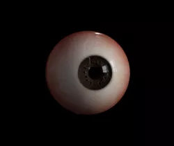 Eye Cg  Low-poly  3D model