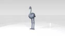 Flamingo Low Poligonal 3D model