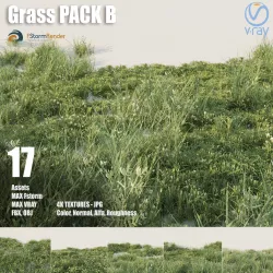 Grass pack B Low-poly  3D model