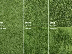 Grass Patches Green Meadow 3D model