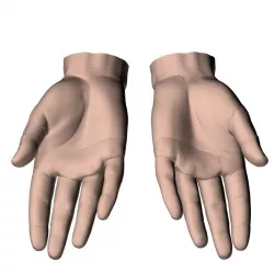 hands flat out 3D model