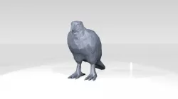 Hawk Low Poligonal 3D model