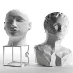 Head Sculptures 3D model