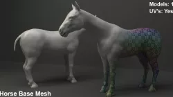 Horse Base Mesh 3D model