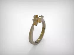 Jewelry Golden Ring Round Shaped  3D print model