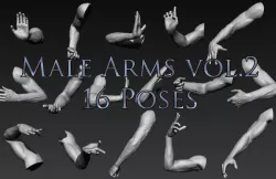 Male Arms Vol2 16 Poses 3D model