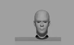 male  face shape narrow obj fbx mb ma files Low-poly  3D model