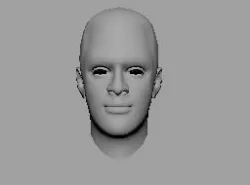 male face shape obj fbx mb  ma texture material  Low-poly  3D model