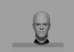  male face shape sneer obj fbx mb ma material low poly Low-poly  3D model