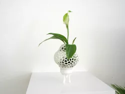 Mini Plant Space Rocket with Pot 3D print model