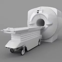 MRI 1 3D model