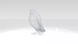 Parrot Wireframe 3D model