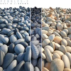 PEBBLES 2 3D model