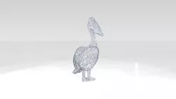 Pelican Wireframe 3D model