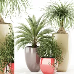 Plants collection 101 Awesomeplanters 3D model