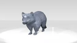 Raccoon Low Poligonal 3D model