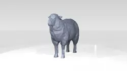 Sheep Low Poligonal 3D model