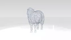 Sheep Wireframe 3D model