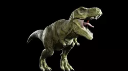T-rex Tyrannosaurus Rigged and V-ray Shaders Complete 3D model
