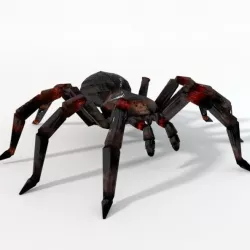 Tarantula Low-poly  3D model