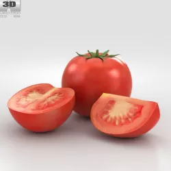 Tomato 3D model