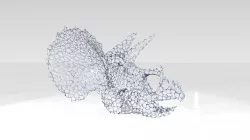 Triceratops Skull Voronoi 3D model