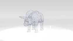 Triceratops Wireframe 3D model