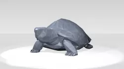 Turtle Low Poligonal 3D model