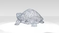 Turtle Wireframe 3D model