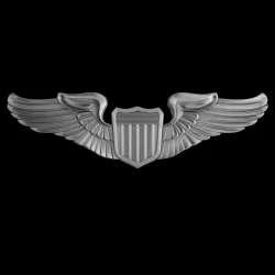 US Army Air Force Pilot Wings Badge 3D model