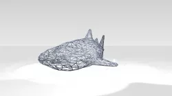 Whaleshark Wireframe 3D model
