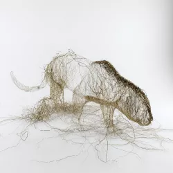 Wire Leopard 3D model