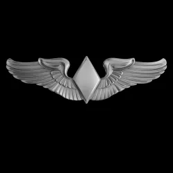 Women Airforce Service Pilots Wings Badge 3D model