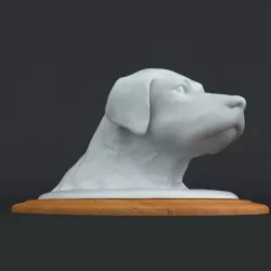 3d doge head 3D print model