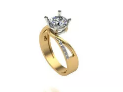 Amt Ring 3D print model
