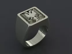 Anello con Aquila 2 teste 3D print model