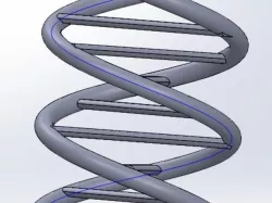 DNA MODEL