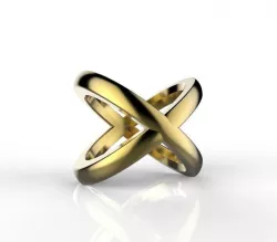 Fashion Ring 3D print model